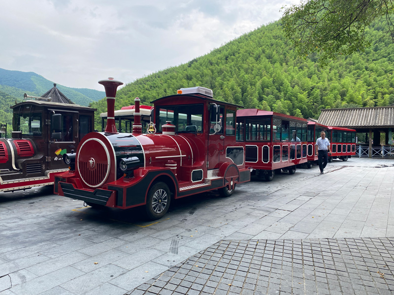 无轨小火车厂家定制 无轨小火车厂家定制